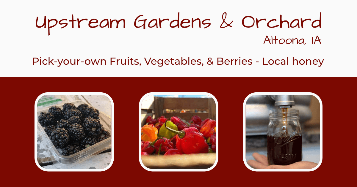Upstream Gardens photo